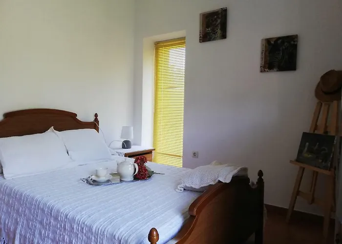 Casa Da Pallota *